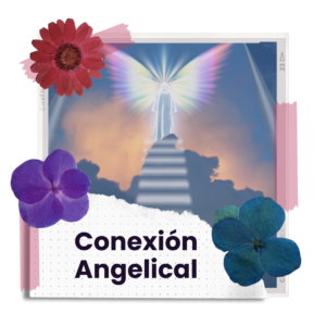 Conexión angelical: crea tu propio oráculo